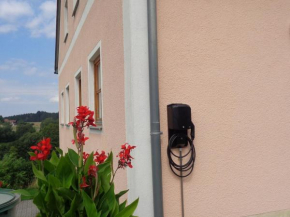 Lively Apartment with Sauna in Schonsee